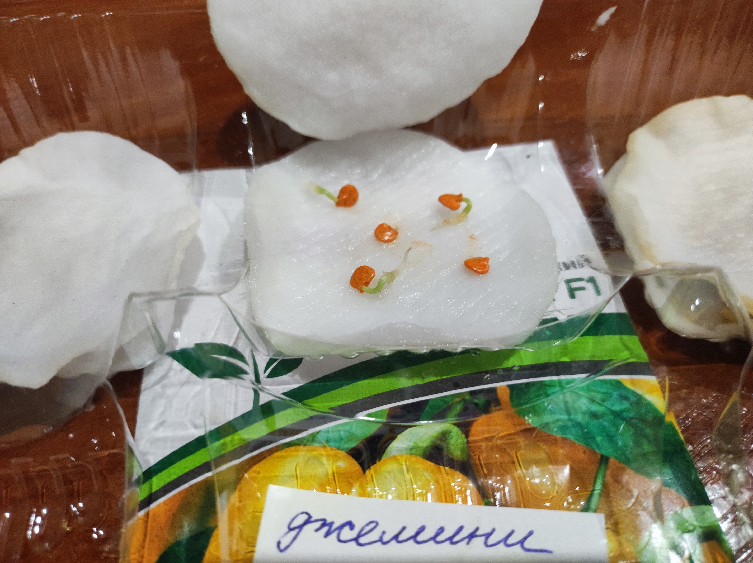Болгарский перец улиткам