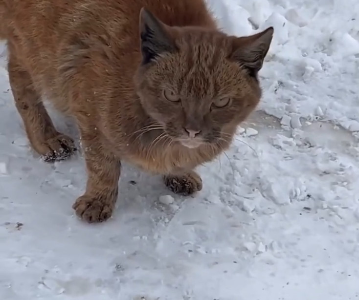 Ильназ галявиев гимназия 175. Подозреваемый татуировки. Трагедия в казани в школе расстреляли детей. Ходят и убивают. Ходят и убивают.