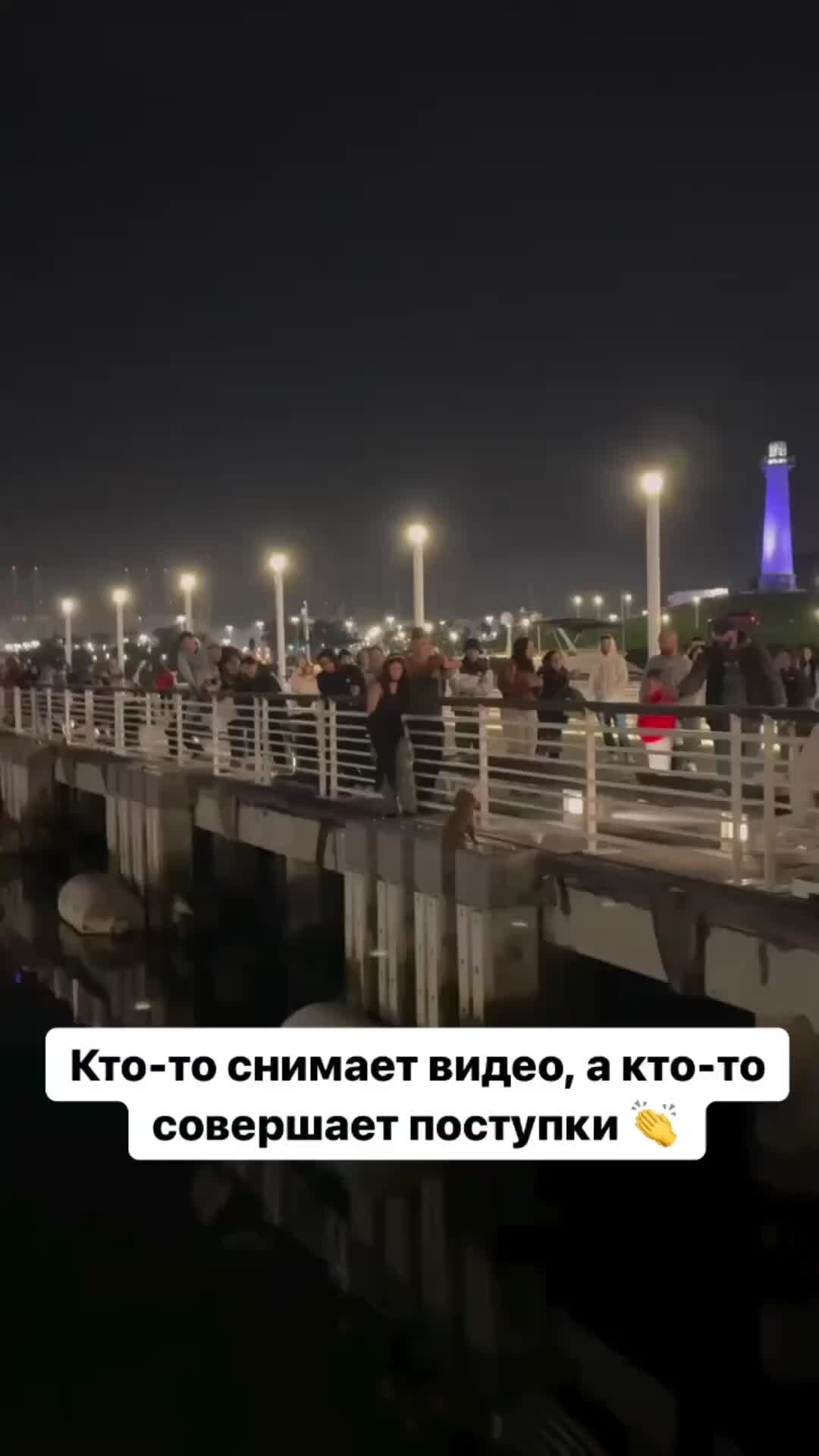 определение слова мудрость. стихи и пословицы о добре и милосердии. человек проявляет сострадание. сострадание это определение. сочувствие чужой беде.