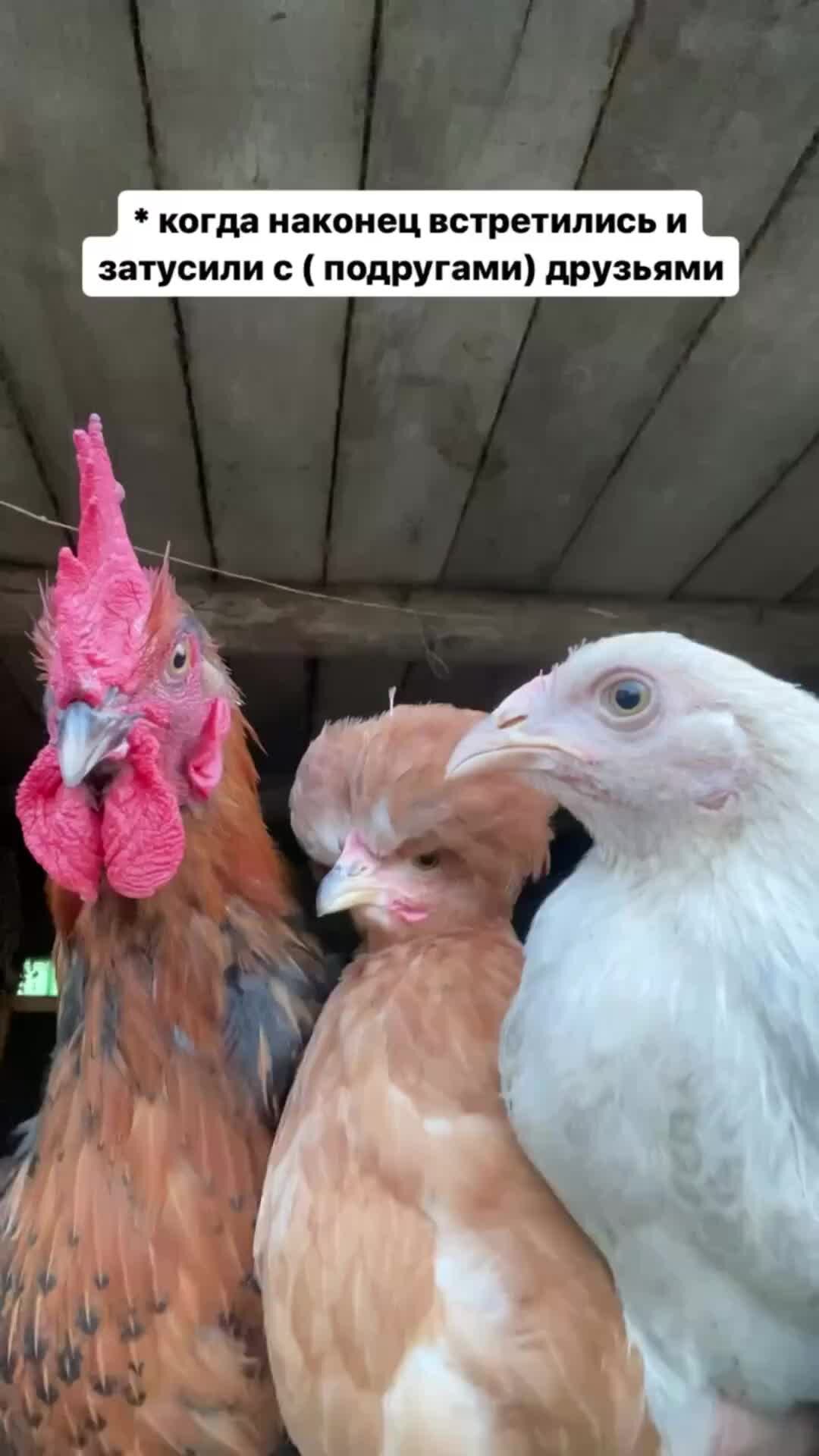 Кирилл Степанов | Молодой фермер 👨‍🌾 | Отправь тем самым подругам ...