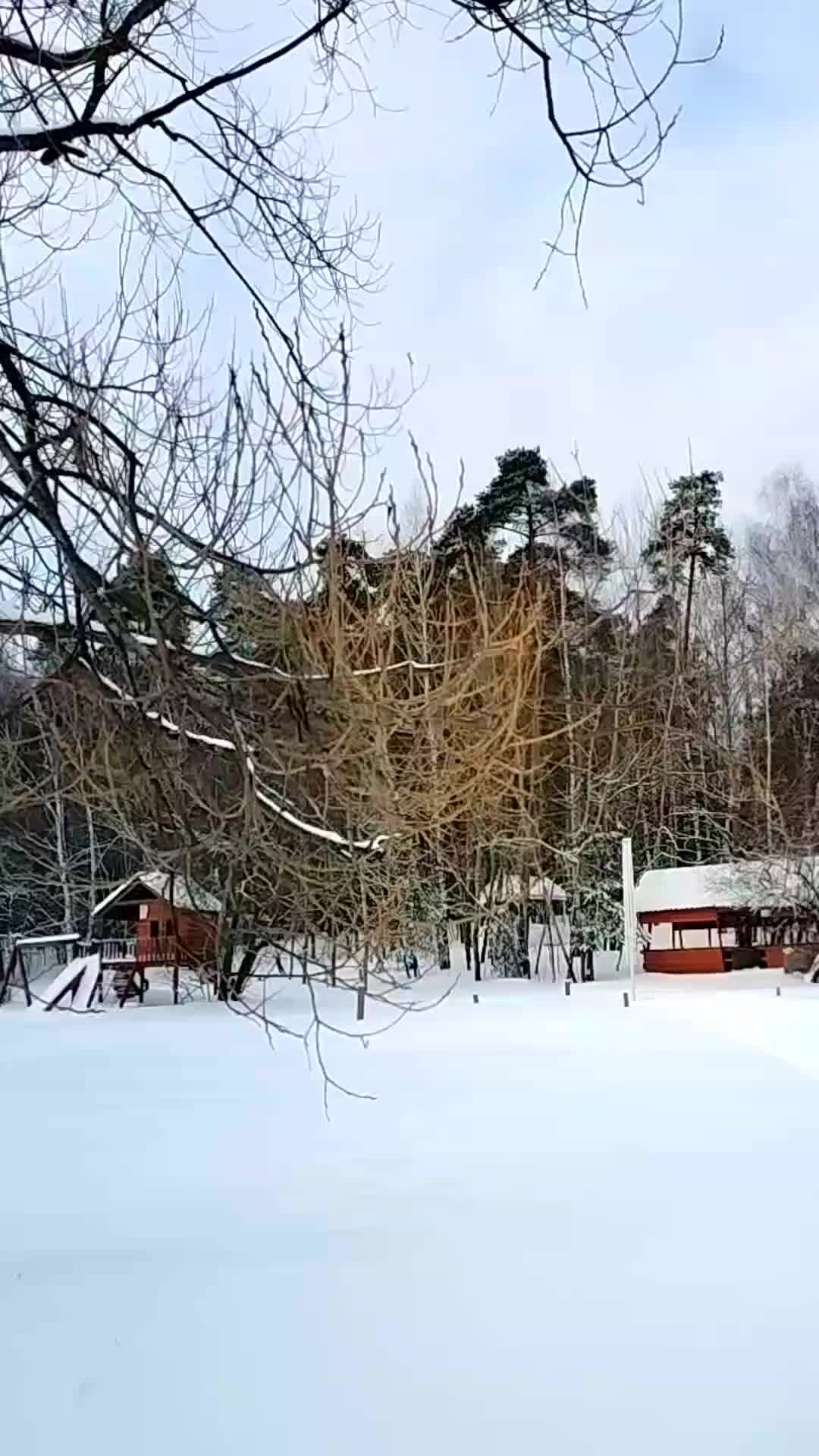 Баба яга в ступе. Там ступа с бабою ягой идет бредет. Идет бредет 5. Баба яга в ступе. Идет бредет 5.