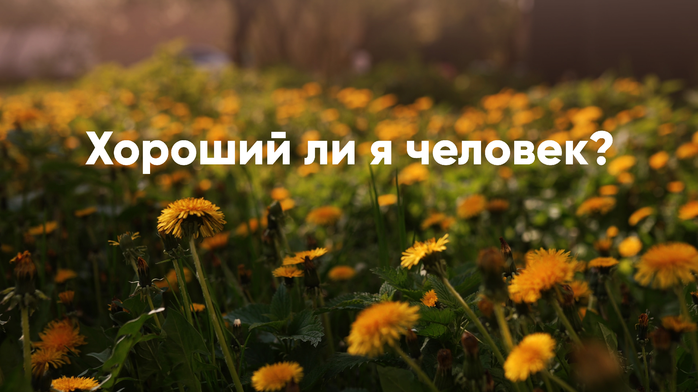 высказывания про злых людей. юрий казанцев екатеринбург. цитата о разбитом стакане. добрый или злой. надо быть злее.