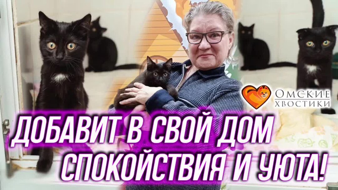 Приют уголек