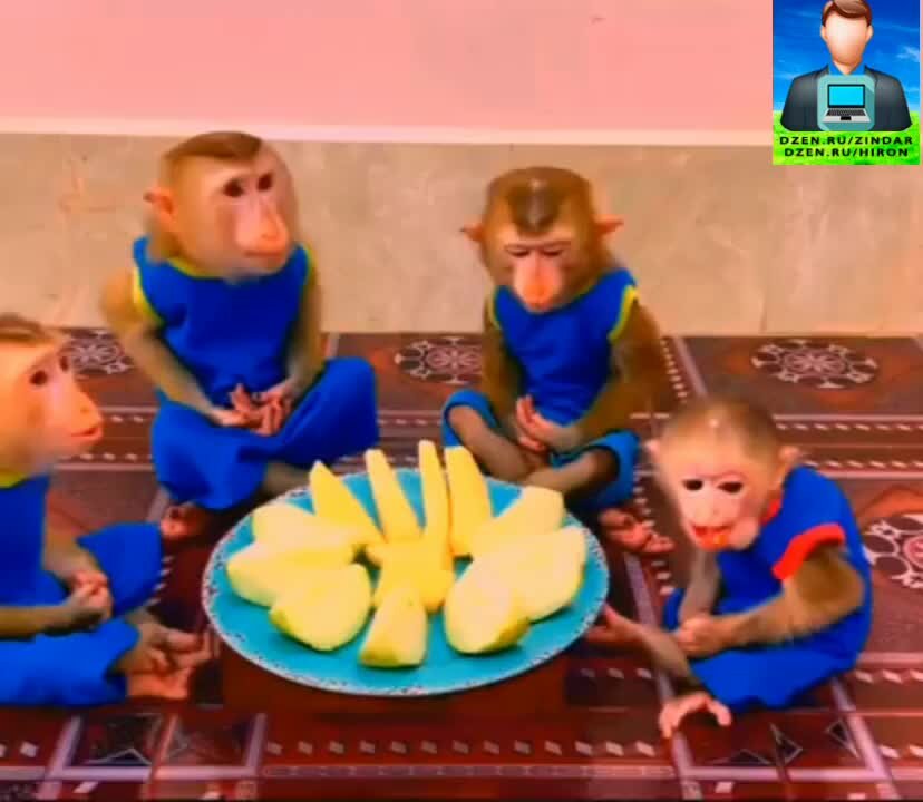 Интересные кадры. Необычные места для фотосессии. Смешные свадебные фотосессии. Смешные снимки. Бабуля на скутере.