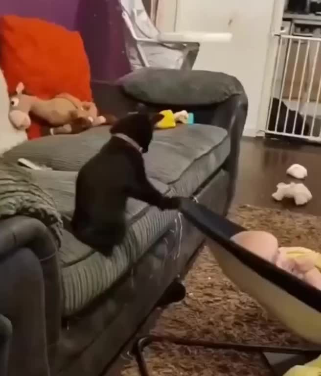 Плач котенка звук