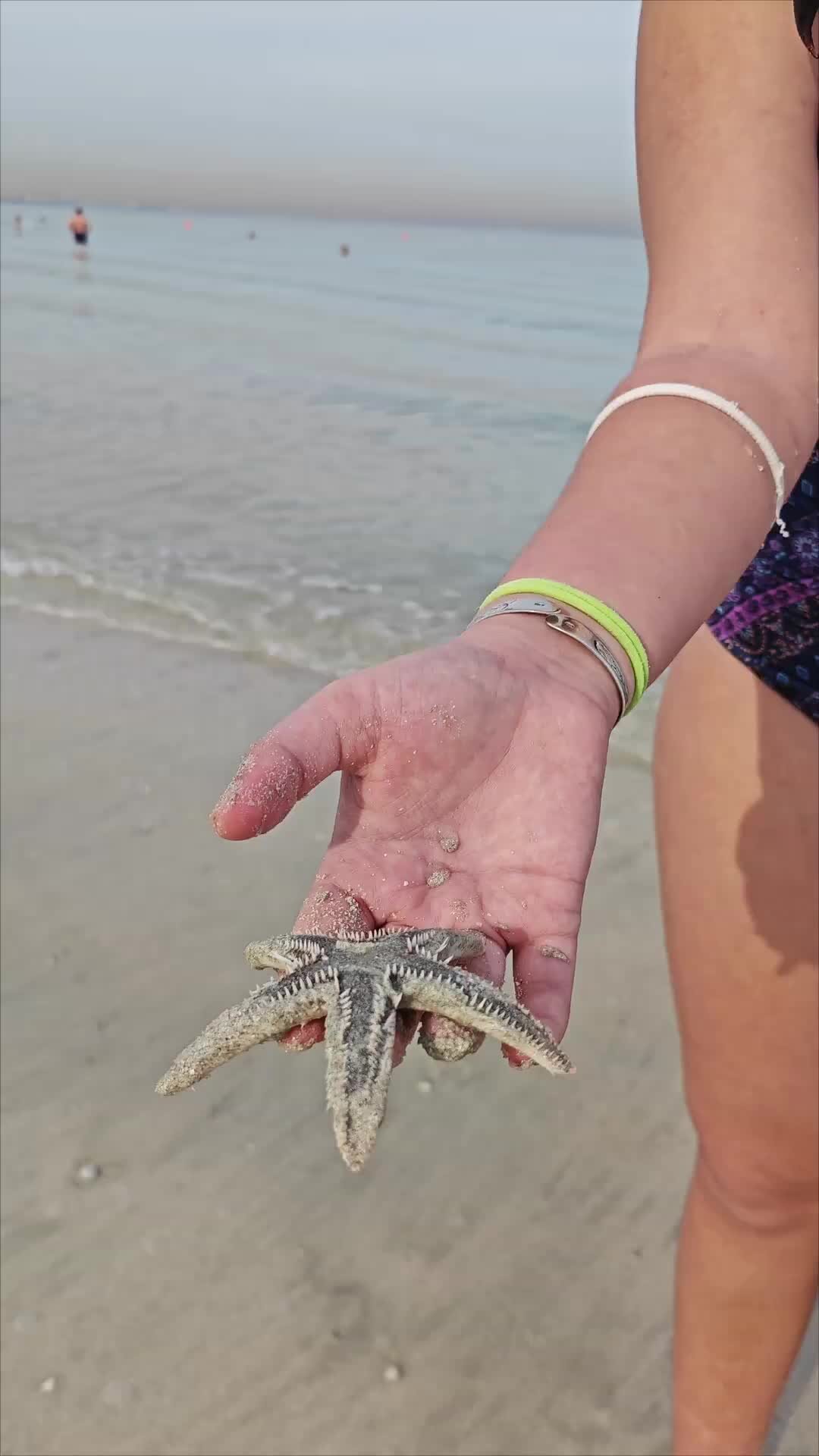 Папа юсуф туркиш. Туркиш пипл и папа юсуф. Туркиш пипл и папа юсуф дзен. Туркиш пипл и папа юсуф ютуб. Туркиш пипл ютуб последнее.