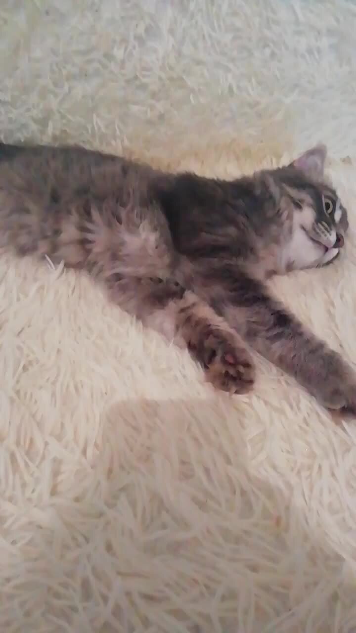 Вероника трощенкова дом 2 возвращается на проект. Дом 2 с никой. Ника трощенкова. Руднев из дом 2 с либерж. Ника трощенкова дом 2.