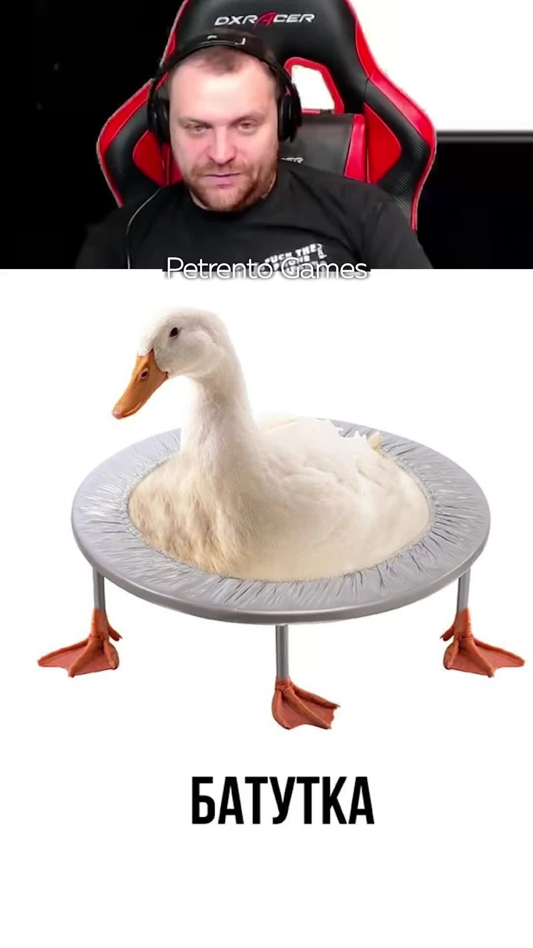 Батутка мем
