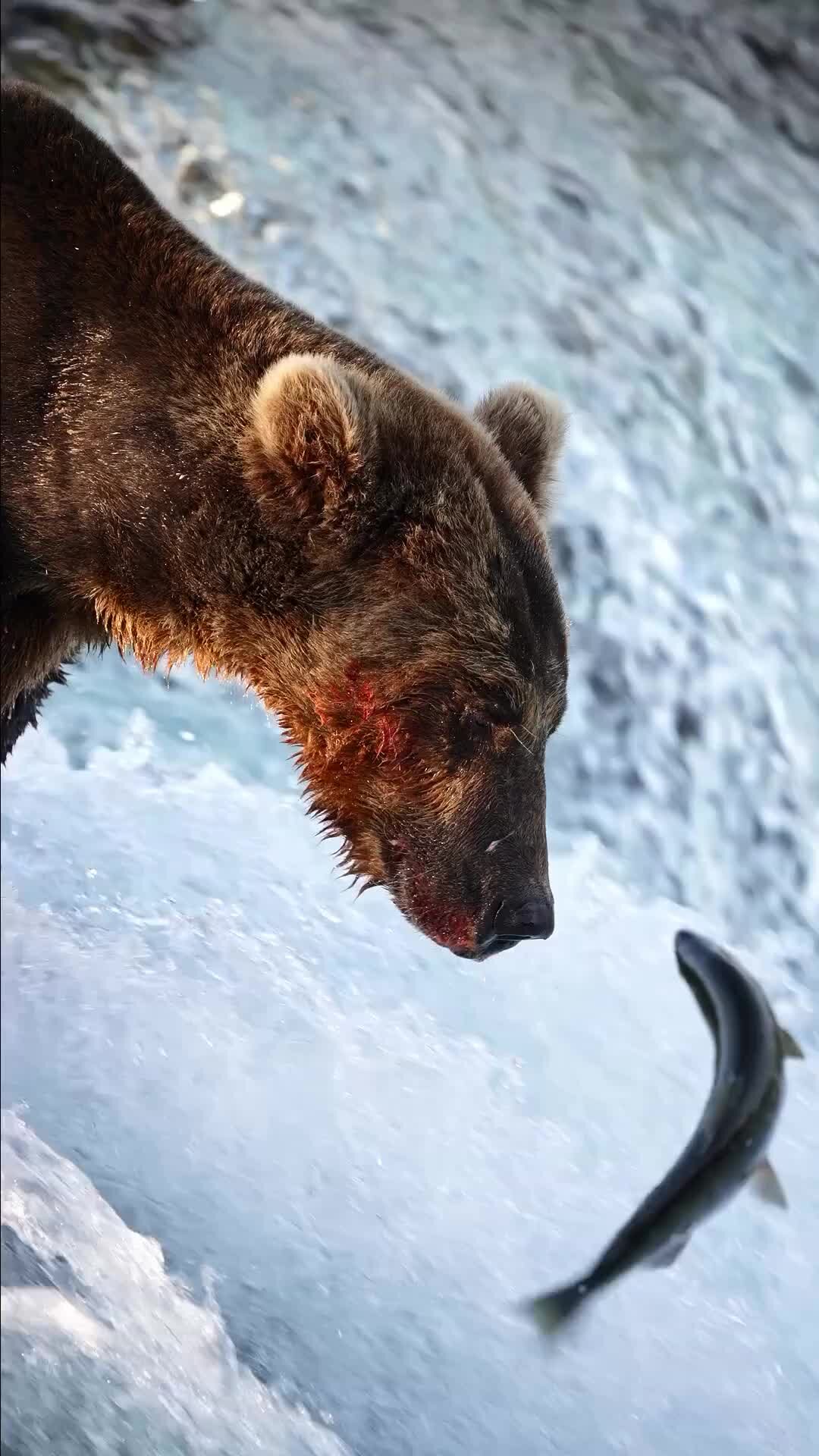 Мы и природа канал