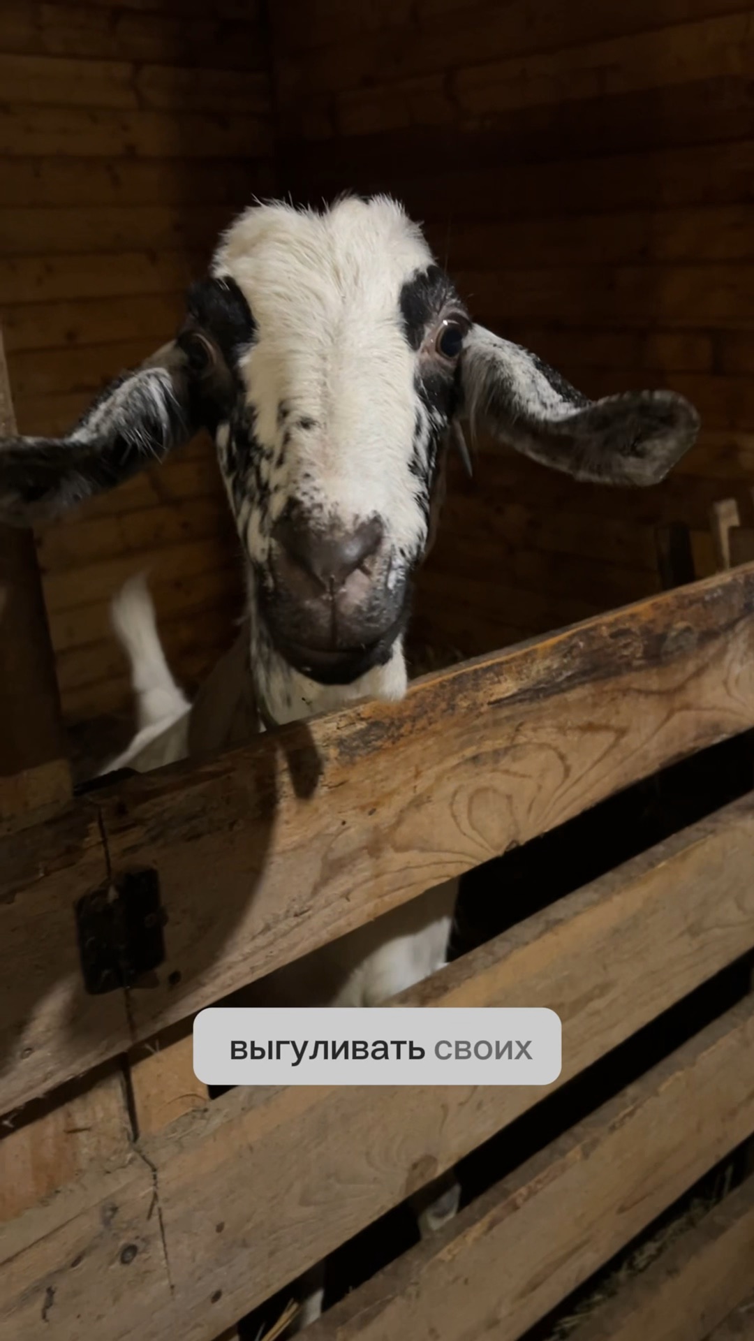 одеваем ребенка на улицу зимой. нужно ли гулять когда болеешь. как лечить простуду. грипп инфографика. нужно ли гулять когда болеешь.