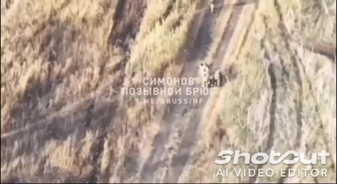 They who were 8. They who were 8. Вопрос к подлежащему в английском языке. Вопрос к подлежащему. Who вопрос к подлежащему.
