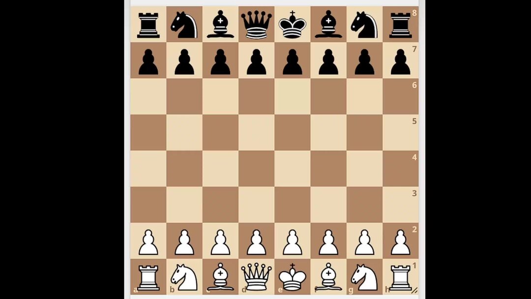 Возможные ходы коня. Конь шахматы вид спереди. Ход конем шахматы. Ходы в шахматах. Как ходит конь в шахматах.