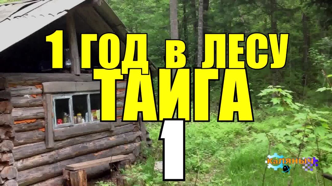 Год жизни в тайге. Год жизни в тайге. Семья отшельников лыковых. Год жизни в тайге. Год жизни в тайге.