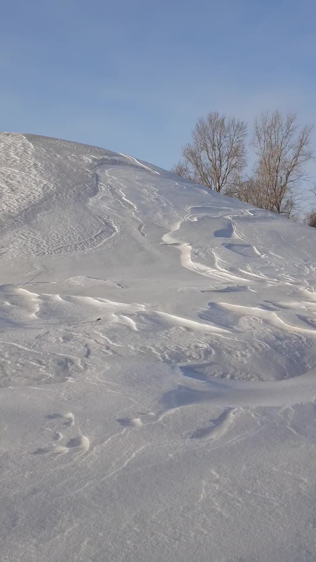 гидропосты рек томь чулым