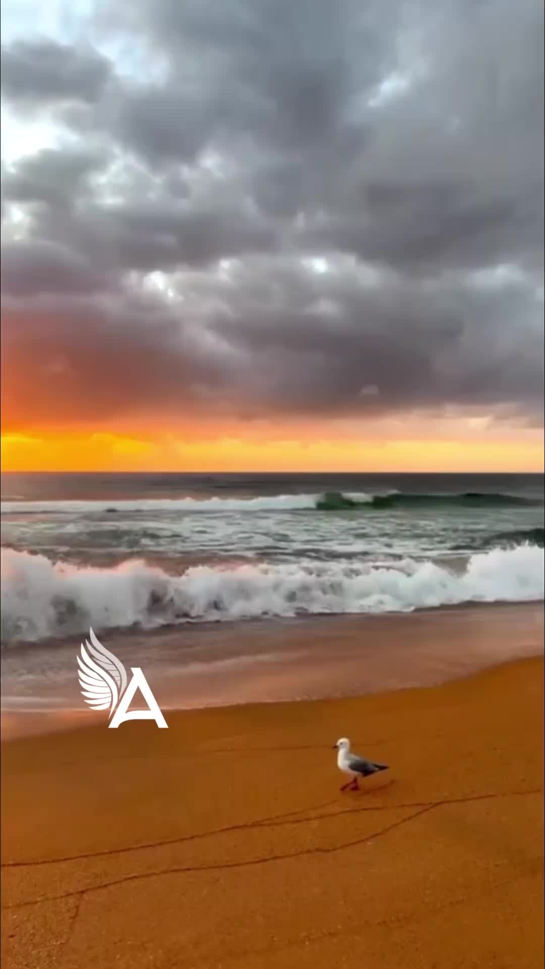 Тренинг школа агеева