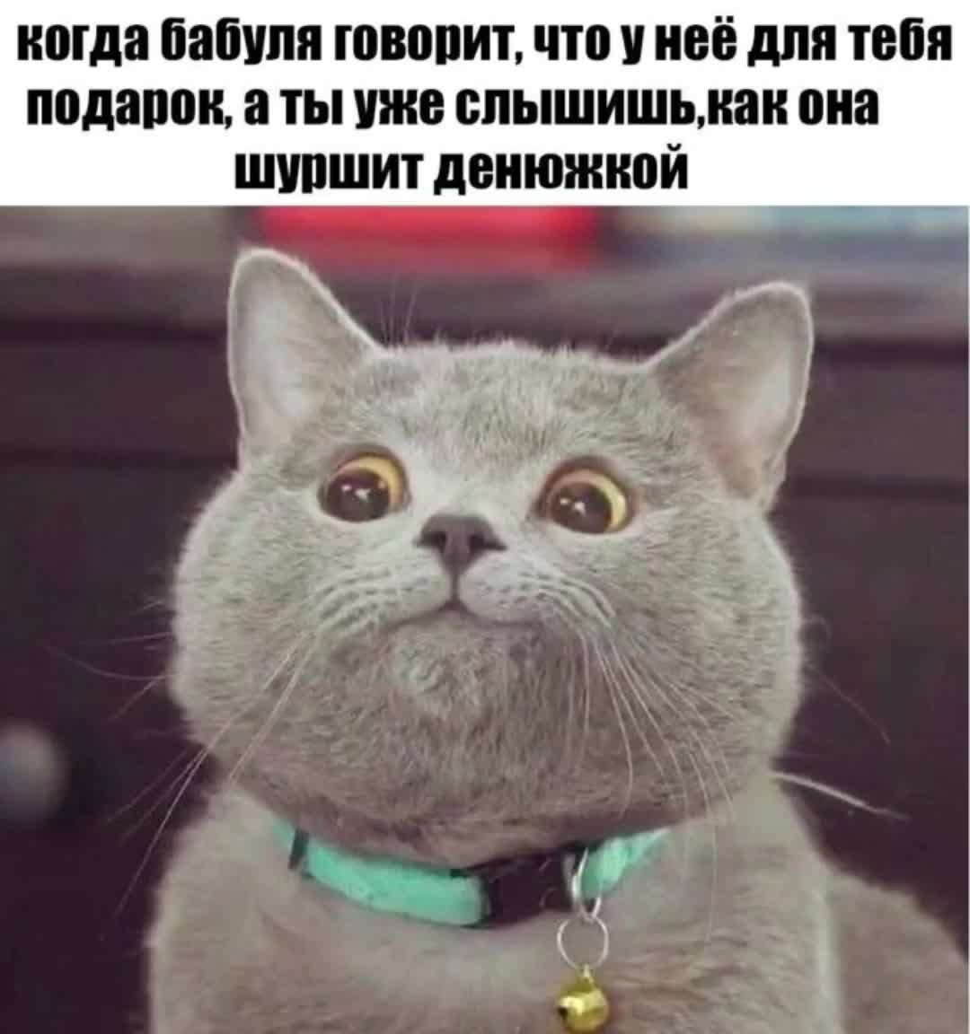 Картинки для поднятия настроения