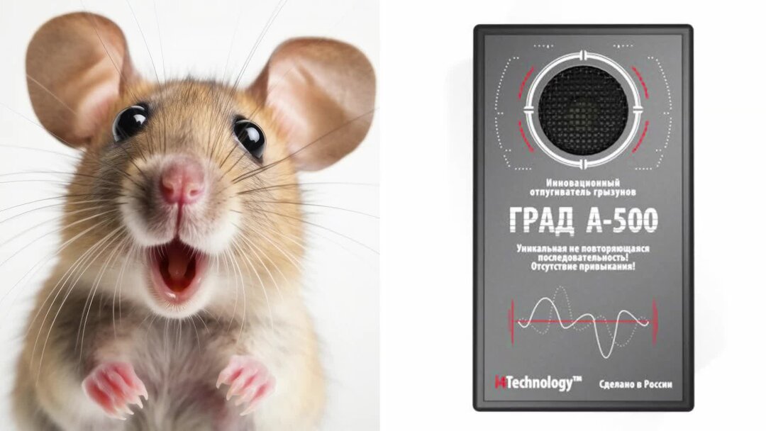 Звуки отпугивающие крыс слушать