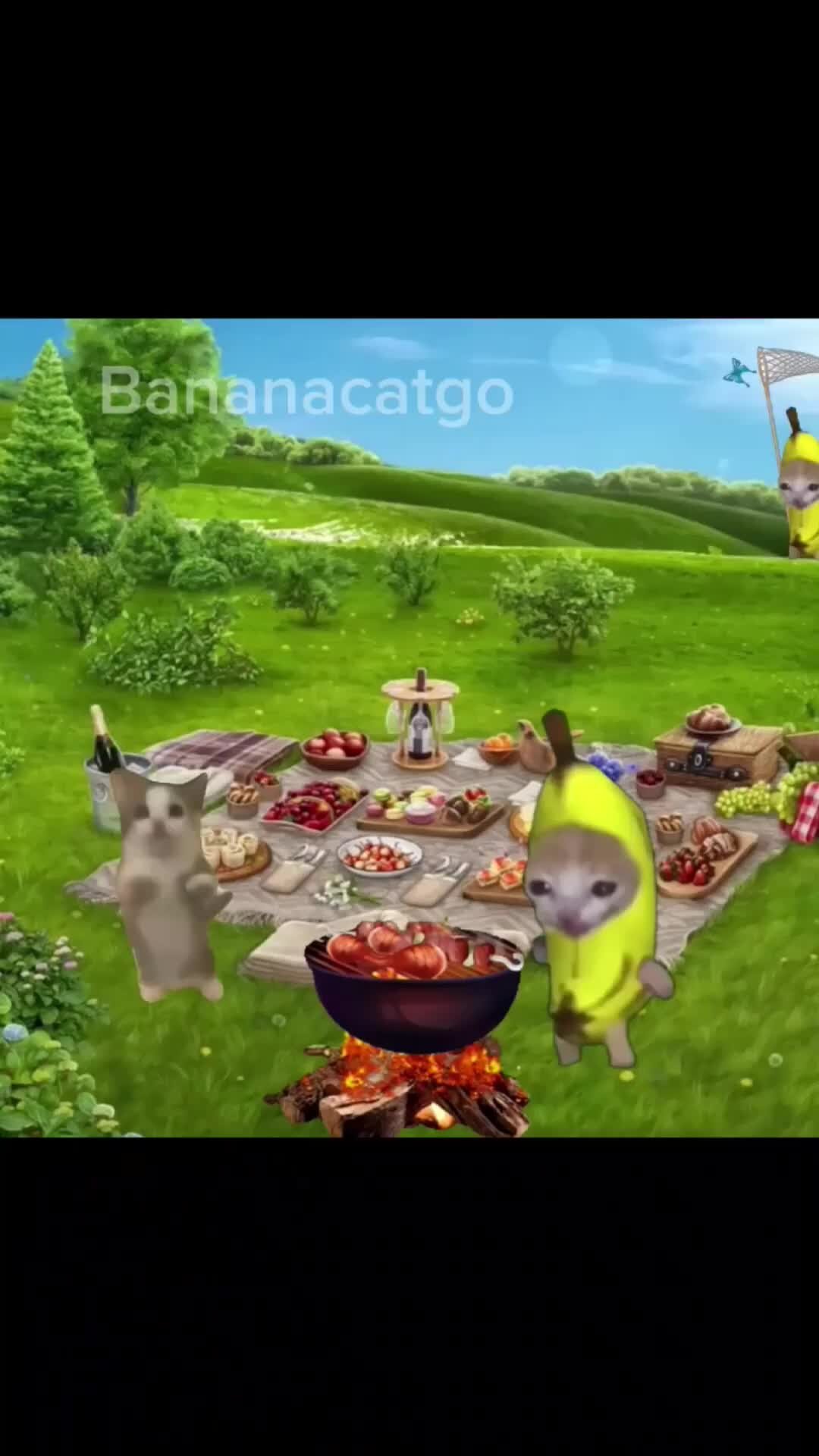 Banana Cat Go | Banana Cat Advanture #4 🍌 😺 #shorts #happycat  #bananacatgo #bananacatcry #catmemes #cat #babycat | Дзен