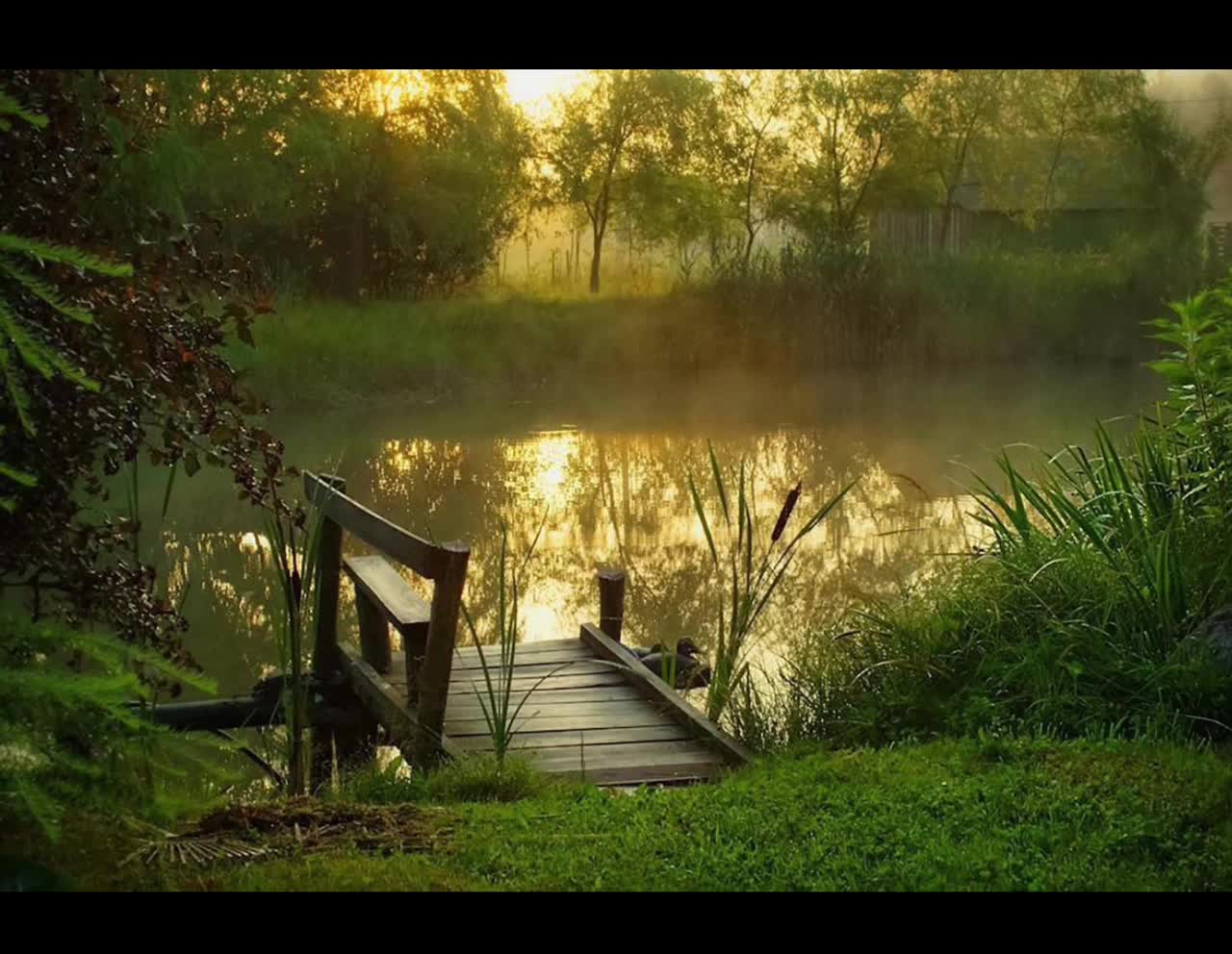 художник томас ален капера. понятие душа. душевный и духовный различия. внутренний мир человека философия. душевный человек пример.