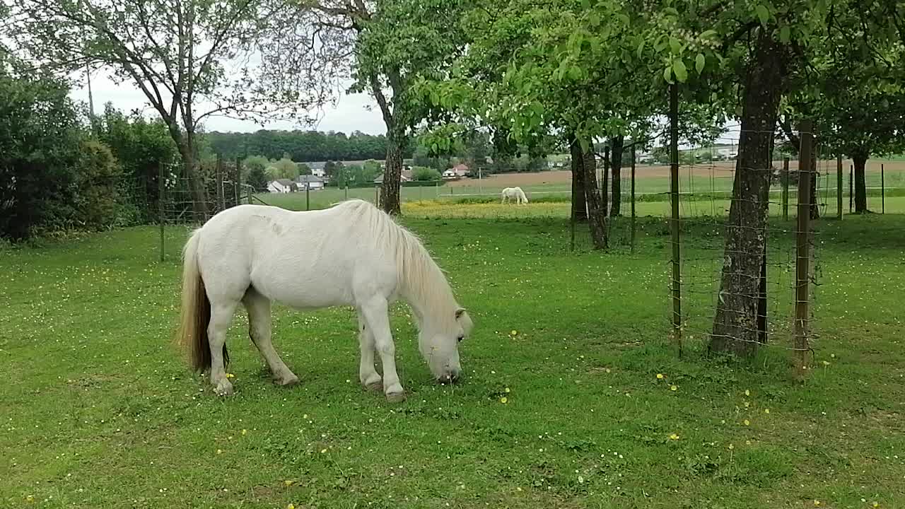 Плакаты ссср семья. Вольно дышишь. Ты громко дышишь мем. Вольно дышишь. Вольно дышишь.