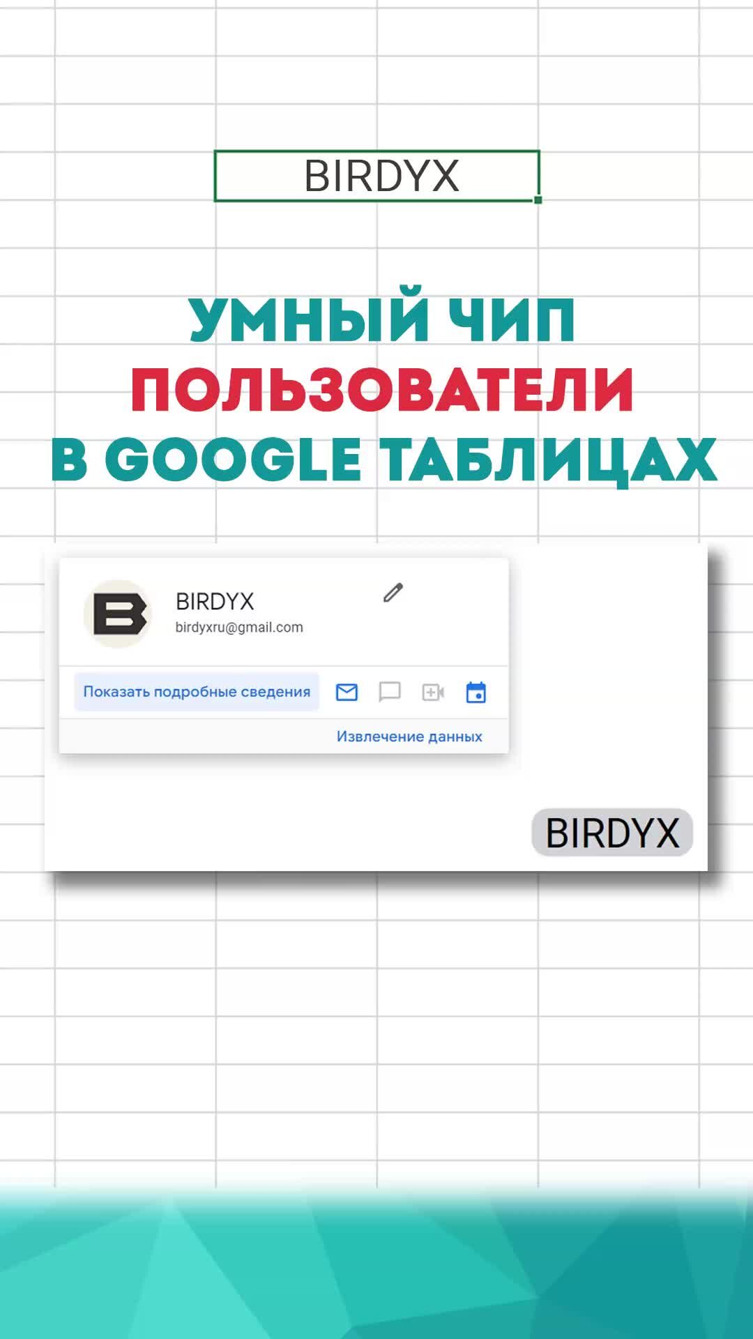 BIRDYX | Статистика и анализ данных | Excel | 👤 Умный чип 