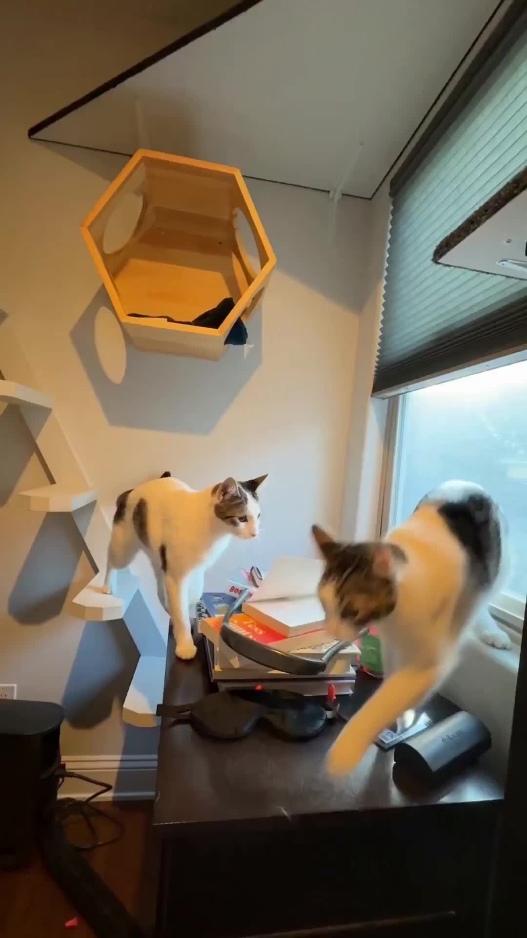 Прогрессивный смарт. Man playing portable cgame console stock image. Криптовалюта преимущества. Прогрессив финанс. Progressive ozark bank.