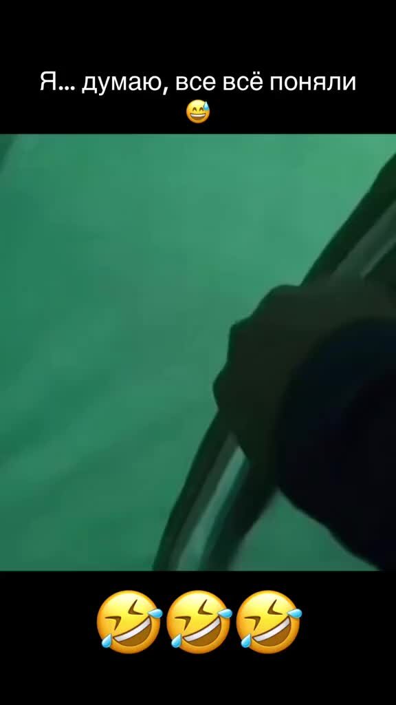 Не было печали на дзен 265