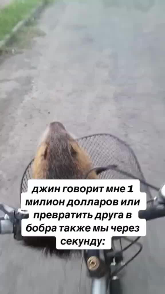 Anuchin radio edit). + рэп братик. Archi братик. Братик (dj alex storm radio remix). Archi альбом.