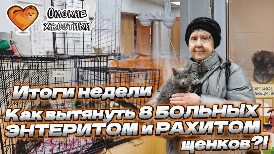 телефоны приюты для людей в