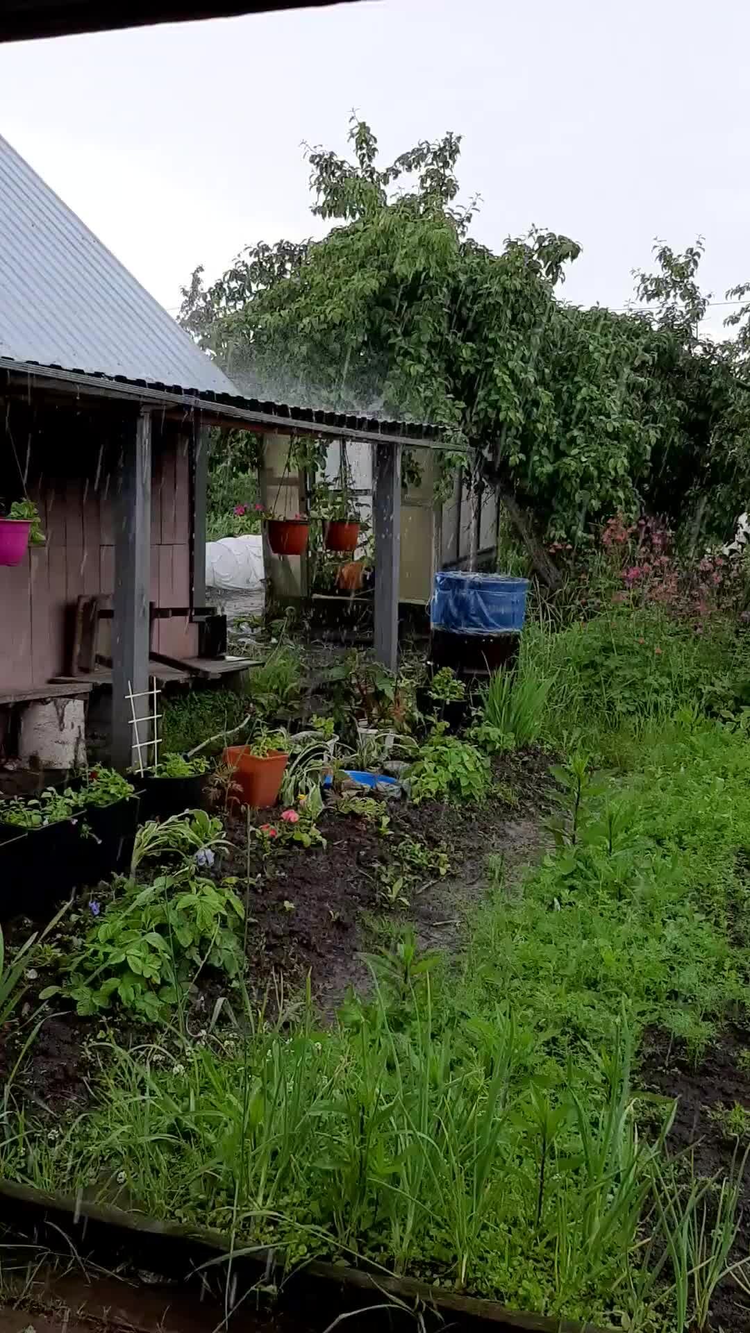 прогноз погоды на лето 2023