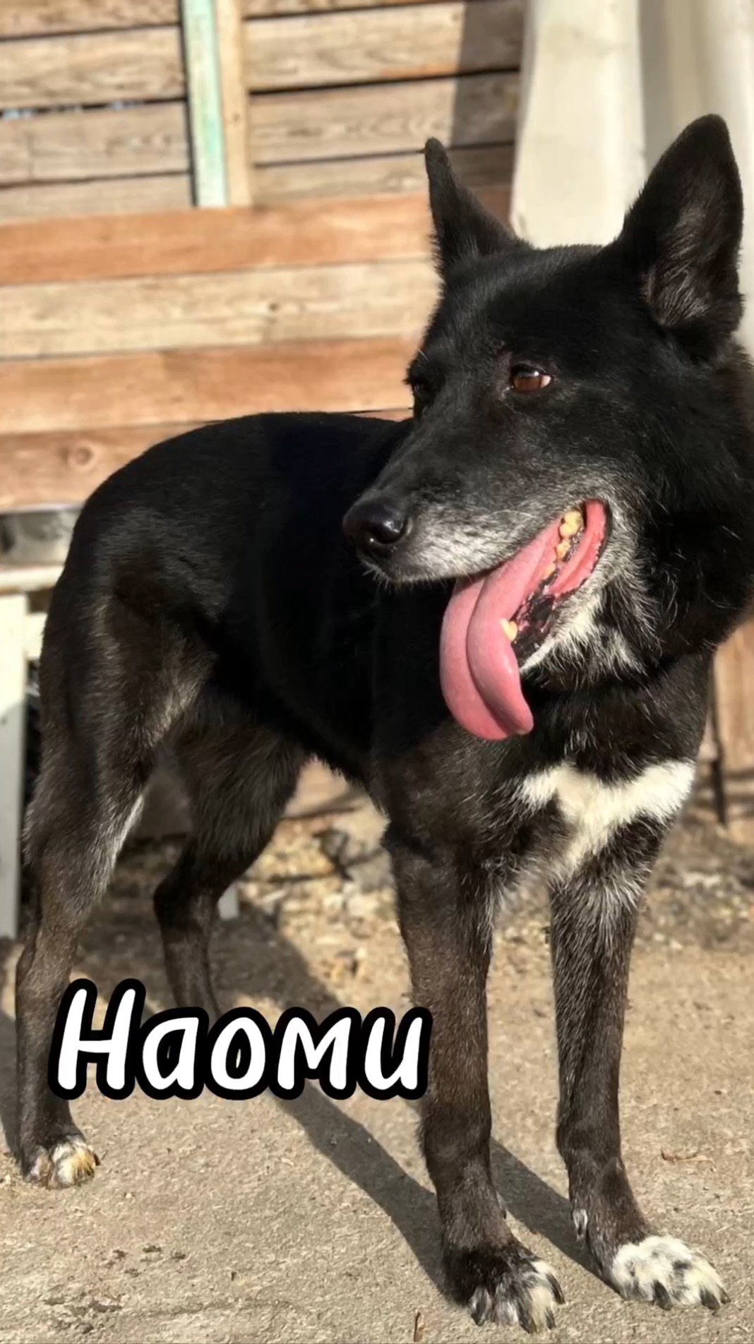 самый привлекательный возраст