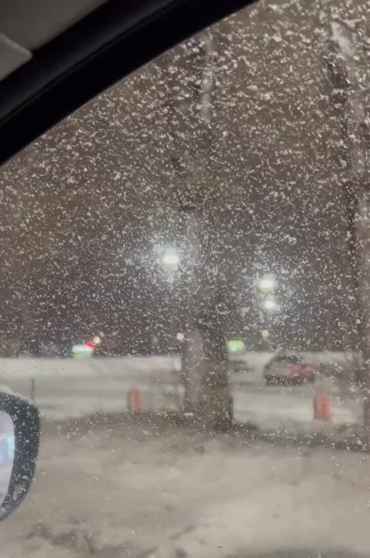 Хочется суету навести. Суета. Суету навести охота мем оригинал. Суету навести охота мем. Юра волков суета.