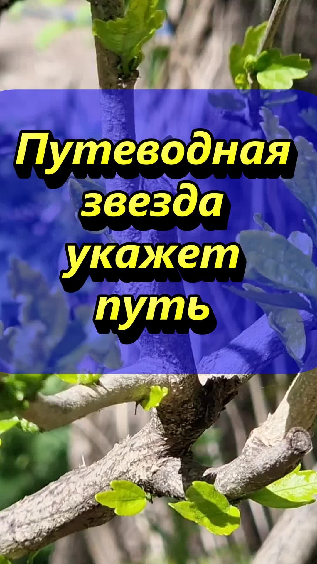 Проводник пассажирского вагона ржд. Проводник указывающий путь. Профессии на жд транспорте. Ответственность проводника вагона. 2.