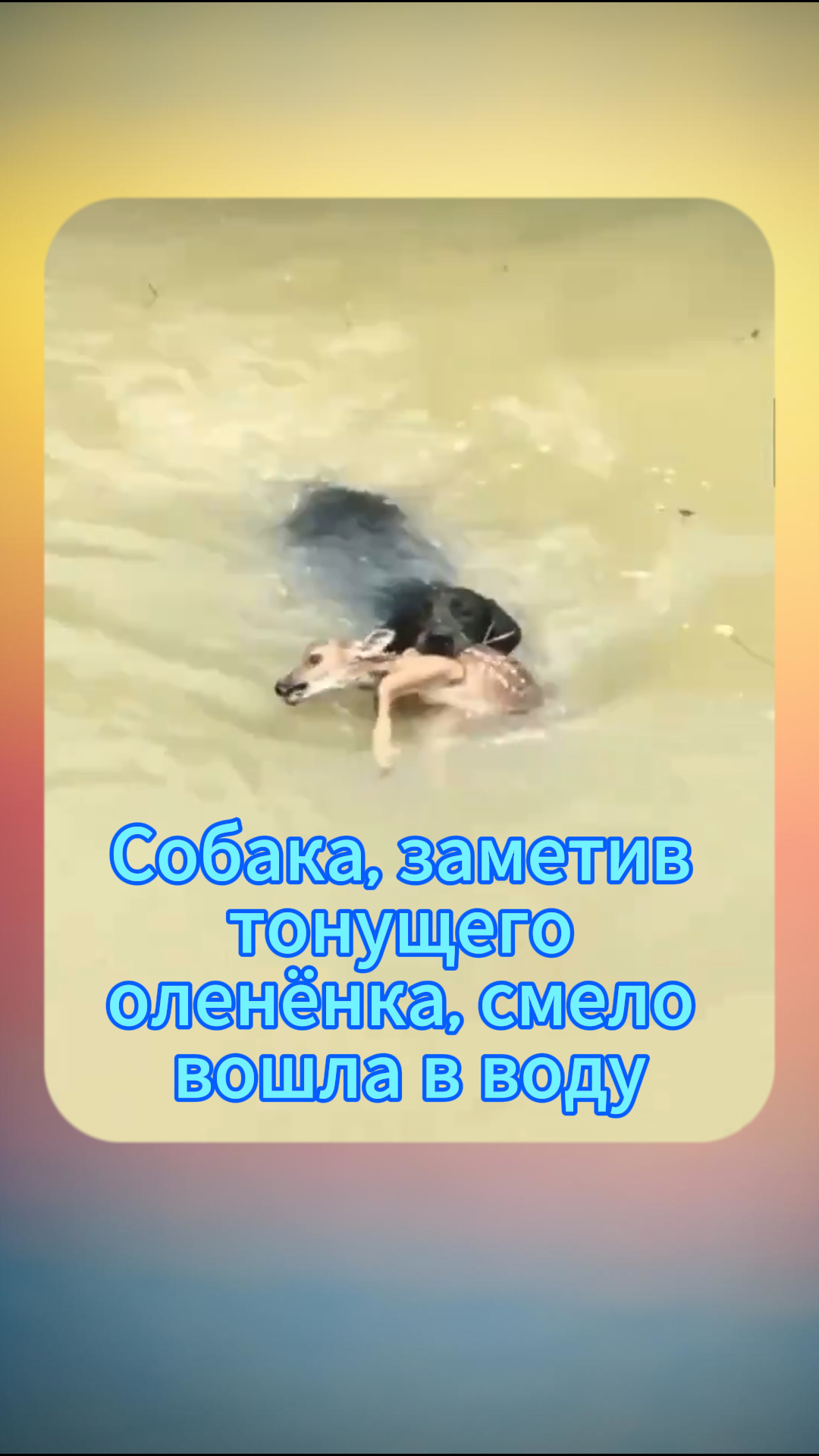 Входящая вода