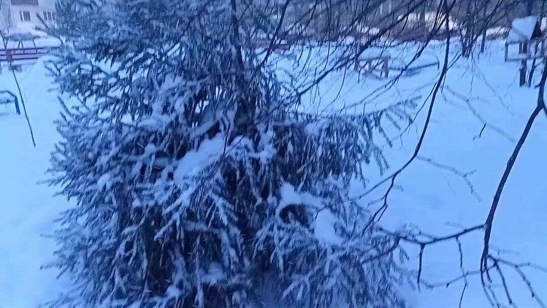 виктор серж пламя под снегом. песня снег кружится текст песни. текст песни снег. такого снегопада караоке. караоке снег кружится летает летает караоке.