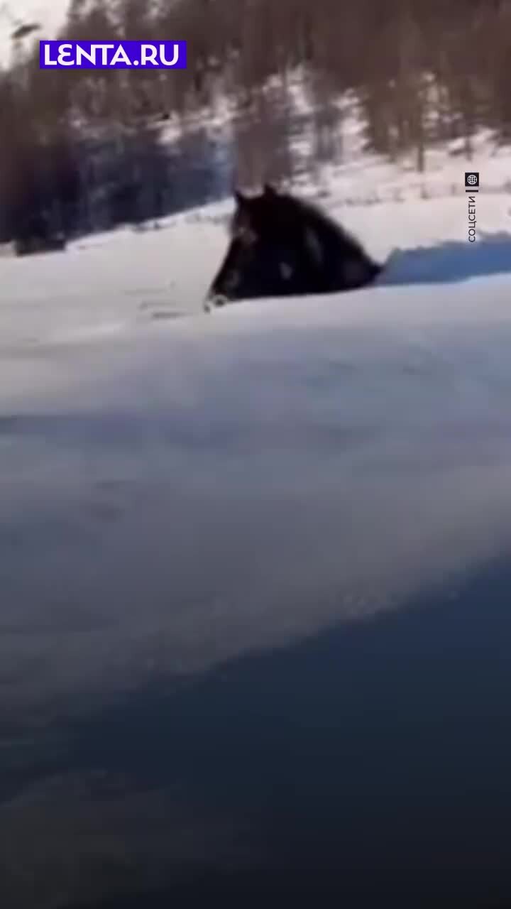 робот доставщик яндекс застрял. роботы застряли в снегу. робот курьер застрял в снегу. робот доставщик яндекс застрял. робот доставщик в мурино провалился под асфальт.