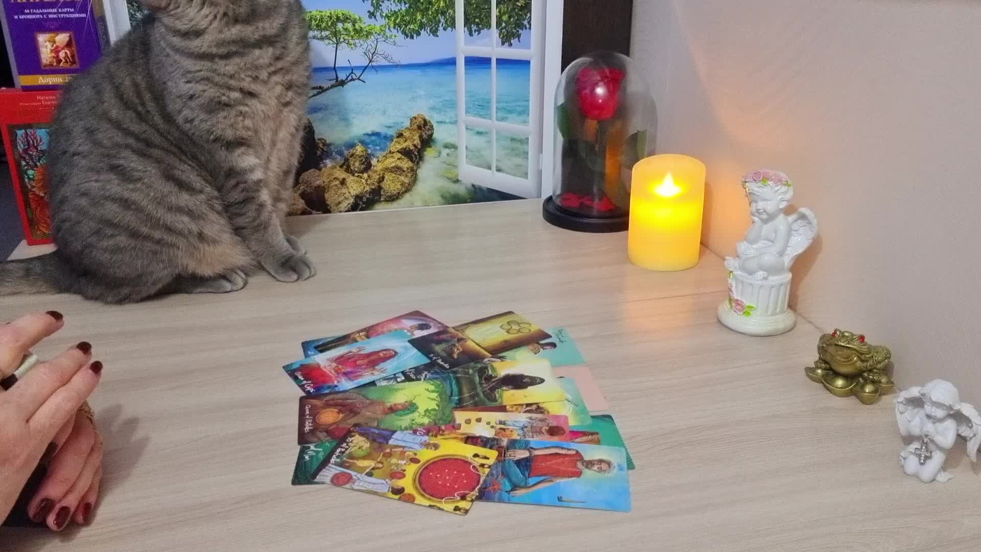 сбор помощи на лечение. приложение бросить курить. смс экстренных служб. нужна помощь смс. как прикольнуться в переписке.