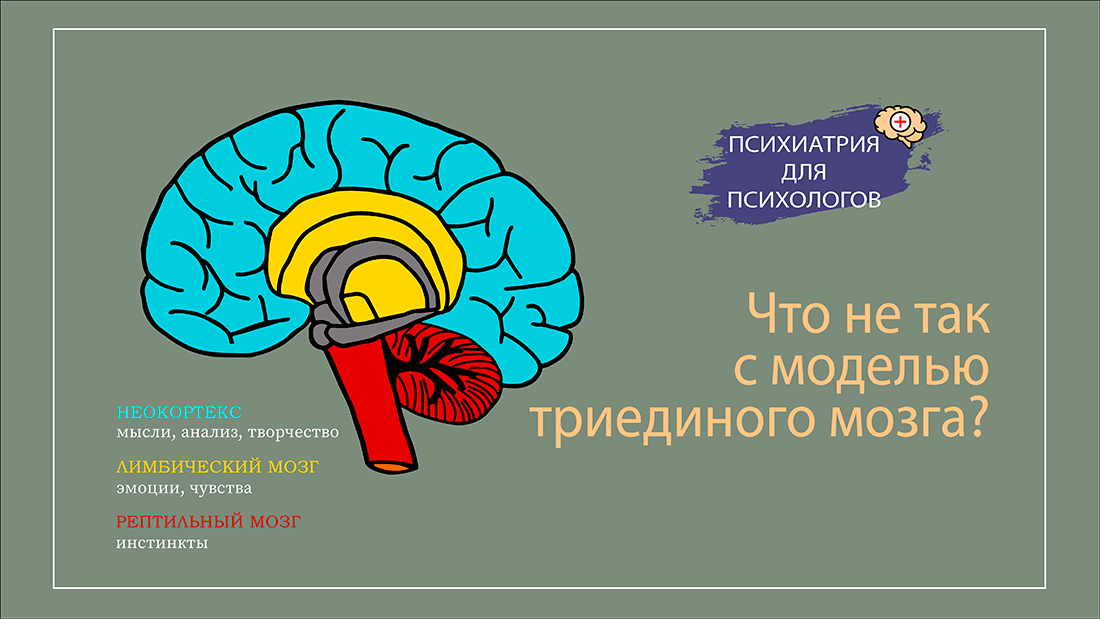 Единый мозг 3 в 1. Триединая модель мозга. Концепция Триединого мозга. Триединая модель мозга Маклина. Теория Триединого мозга пола Маклина научная или нет.