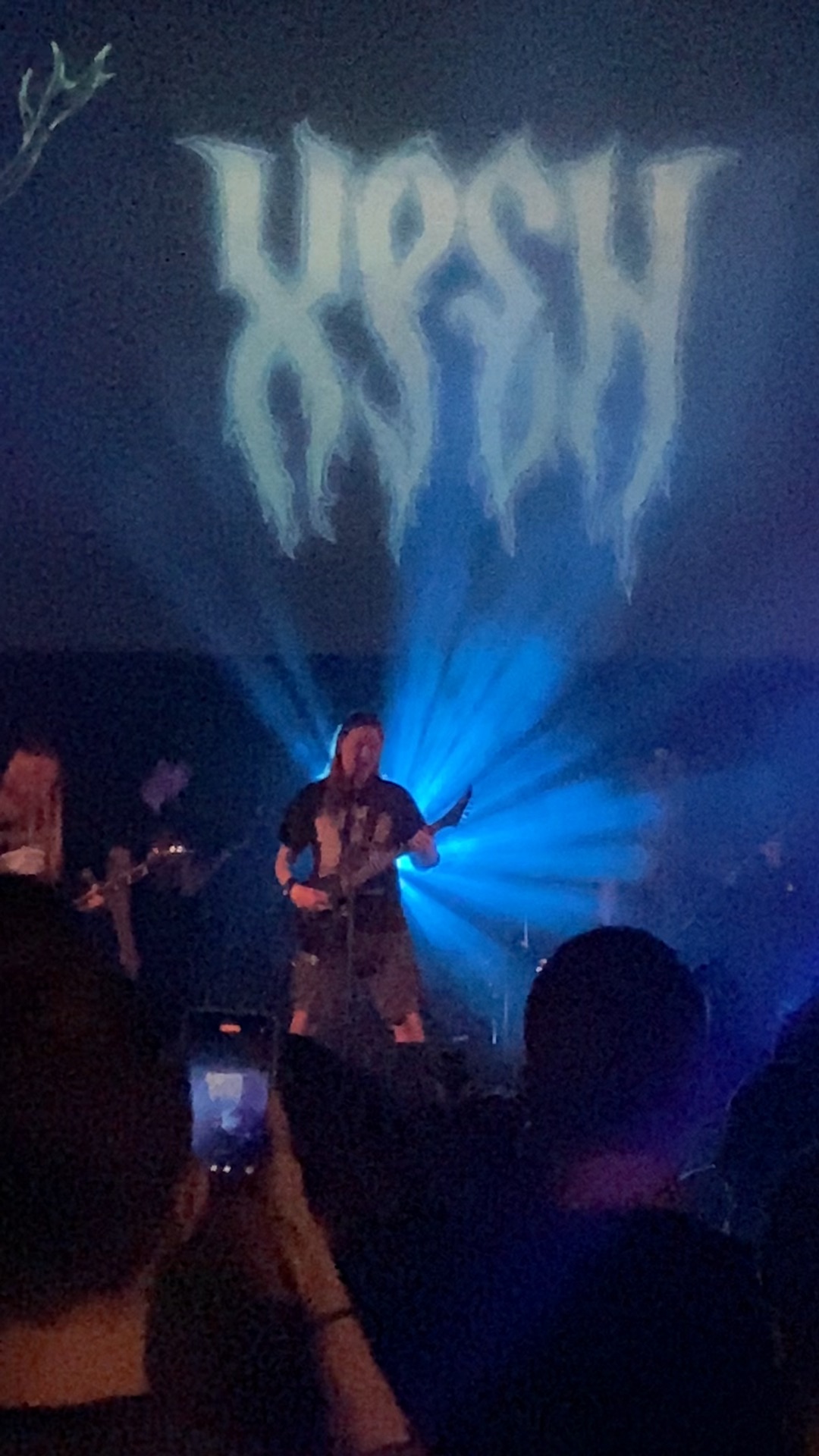 Metal concert. Metal concert