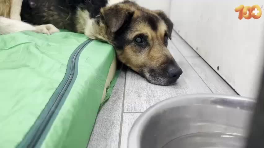 Песня я болею только знай одной тобой. Я больна тобой стихи. Песня я болею только знай одной тобой. Я болен тобой тобой. Мне больно без тебя стихи.