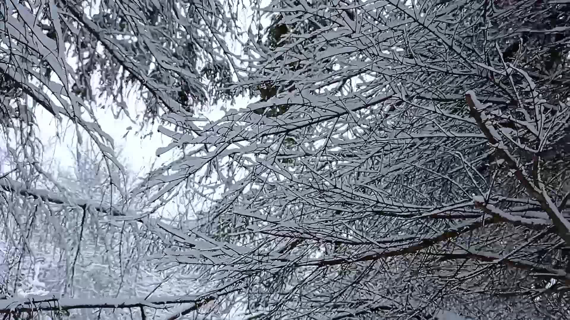 Русский вальс автор. Бал 1810 года война и мир. Русский вальс автор. Владимир первунинский бал. Вальс фантазия глинка.