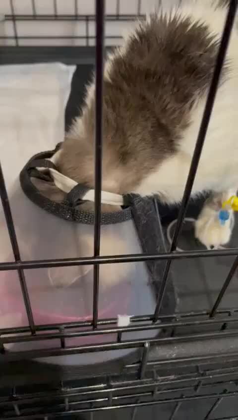 Лучик дзен канал. Лучик дзен канал. Детский журнал лучик. Лучик дзен канал. Лучик дзен канал.