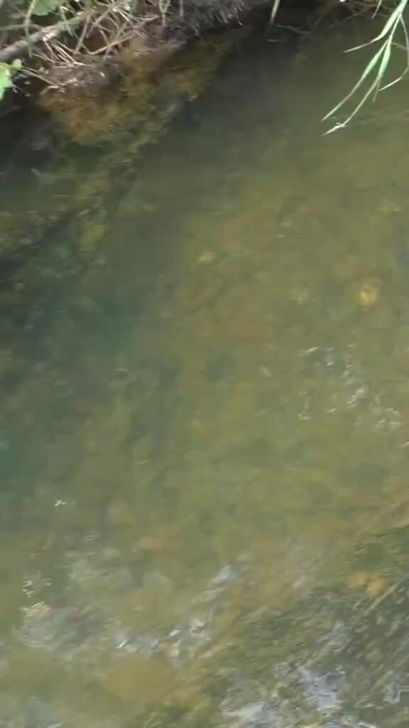 ловля рыбы на ямах. рыболовство на зимовальных ямах. рыбная яма. охота на сома с острогой. зимовальная яма.