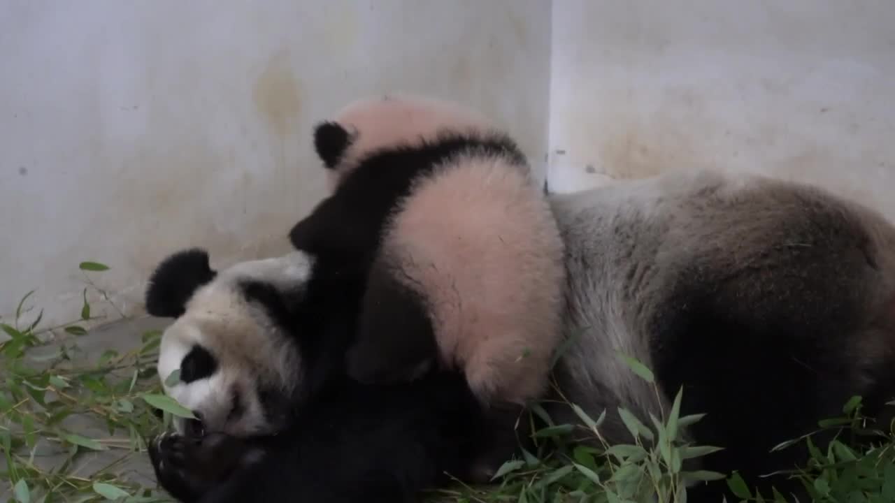 Женщины с которыми хочется просыпаться. Мемы про сон. Спящая жена. Цитаты утром проснулась. Спящую даже не проснулась.