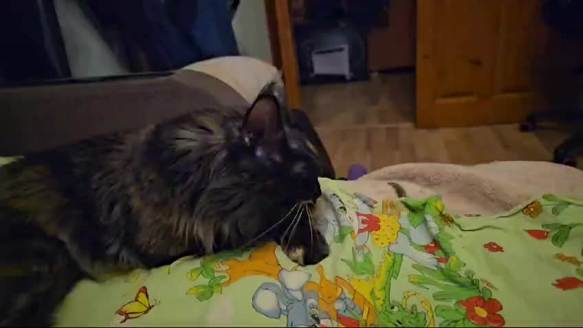 сейчас бы поспать. офигеть надпись. это было круто картинки. вот было бы круто. мальчик играет в ноутбук.