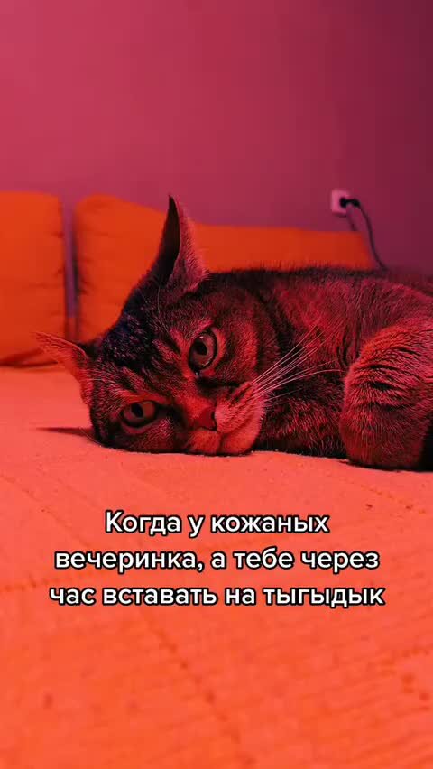 Ранним утром работалось совсем хорошо. Ранним утром работалось совсем хорошо