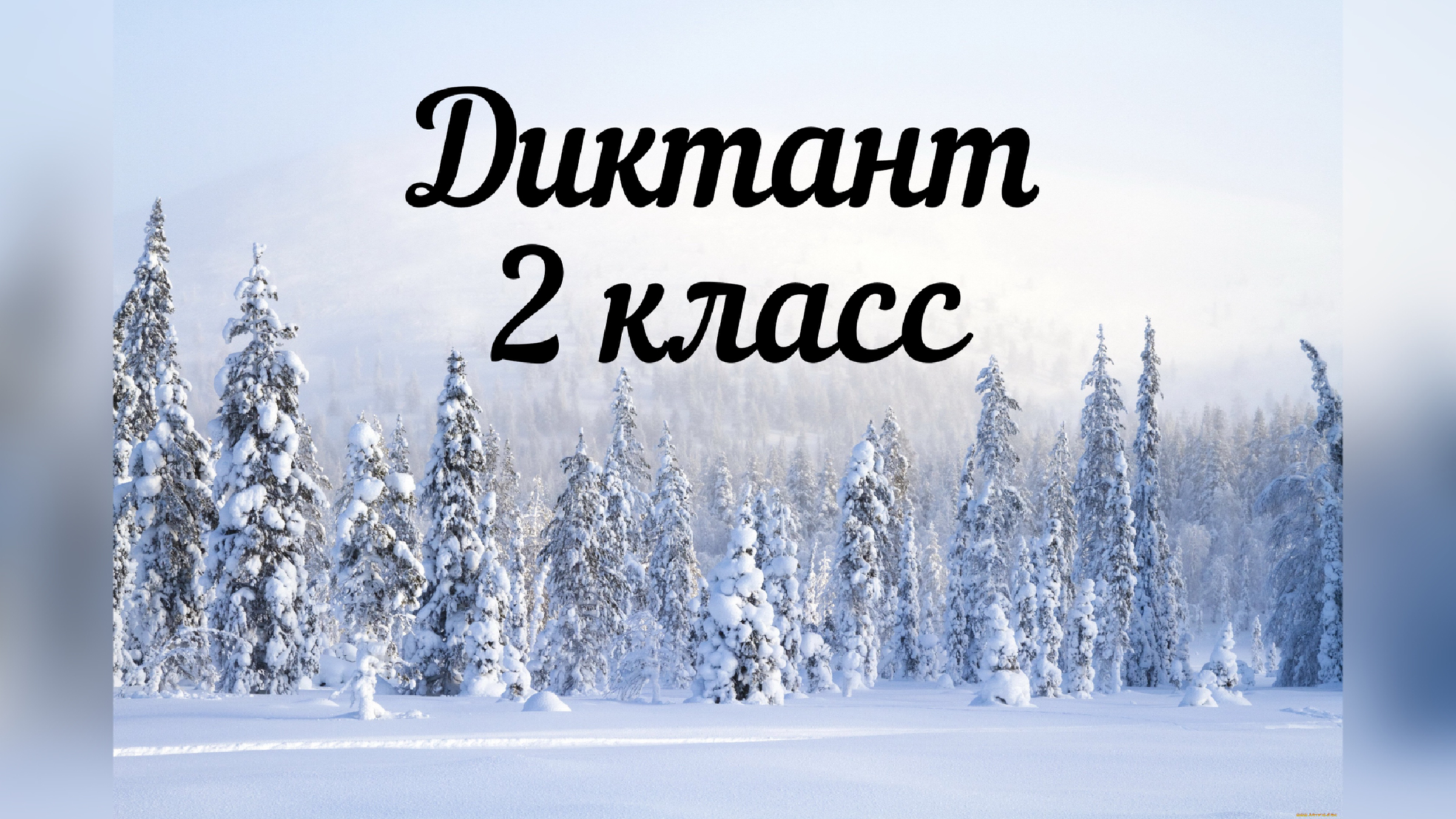 Зима в лесу диктант 2 класс