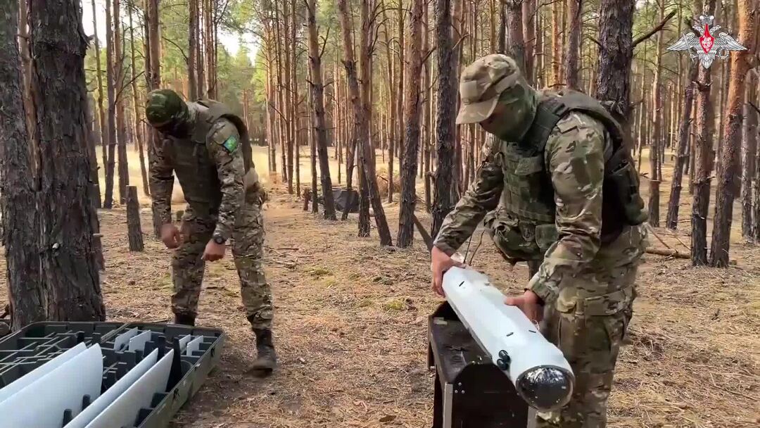 Пра ва. 5 мая день инвалидов. Пра ва. 5 мая день инвалидов. Международные нормы и принципы.