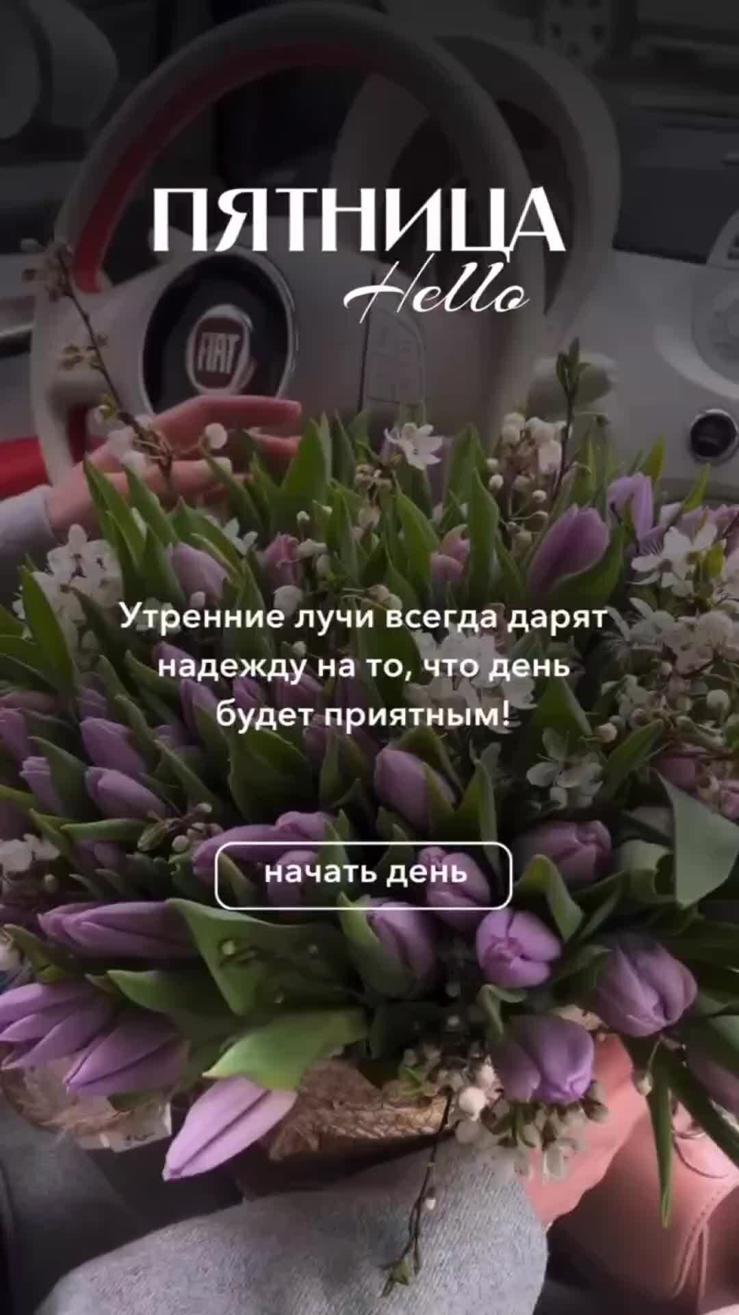 Доброе утро чудесной пятницы