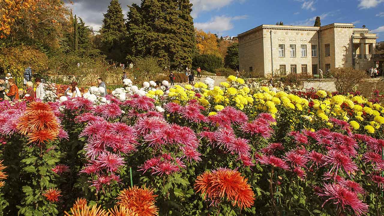 Какая погода в красках. Какая погода в красках. В городе какая погода. Праздник красок холи. Какая погода будет в июле месяце.